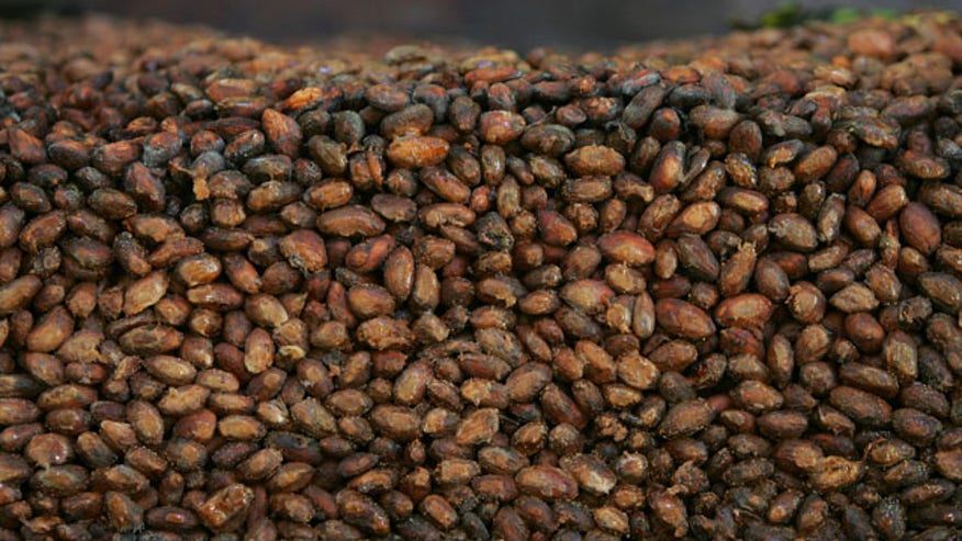 Chocolate Pills_Cham640.jpg